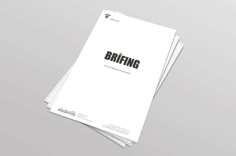 Template Briefing per a nova web 